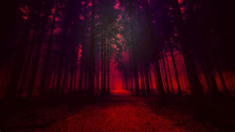 Artistic Red Forest Hd Nature 4k Wallpapers Images Backgrounds