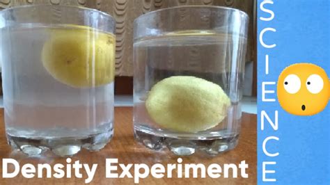 Science Density Experimentlemon And Salt Water Kidsfunlearning