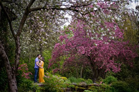 Spring Blossom Mini Sessions · elizabeth&jane photography