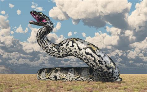 Largest Prehistoric Snake