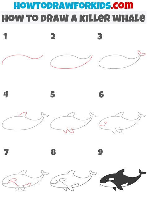 How To Draw A Killer Whale Easy Drawing Tutorial For Kids