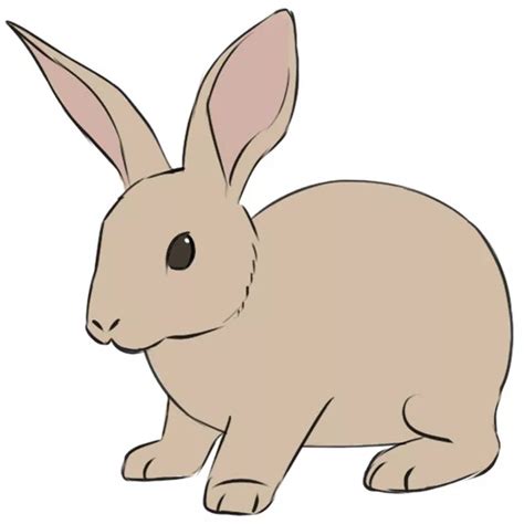 share more than 81 rabbit images sketch super hot in eteachers