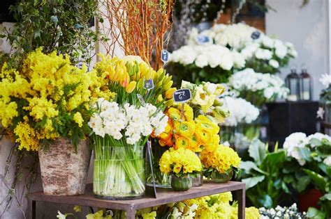 Outdoor Flower Market In Paris France Stock Image Image Of Bunch