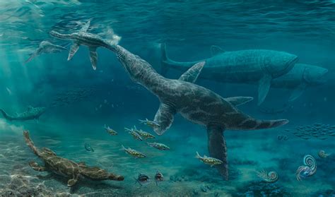 How Marine Reptiles Reacted To Changing Conditions During Age Of