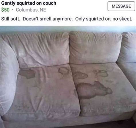 Gently Squirted On Couch 50 Columbus NE MESSAGE Still Soft Doesn T