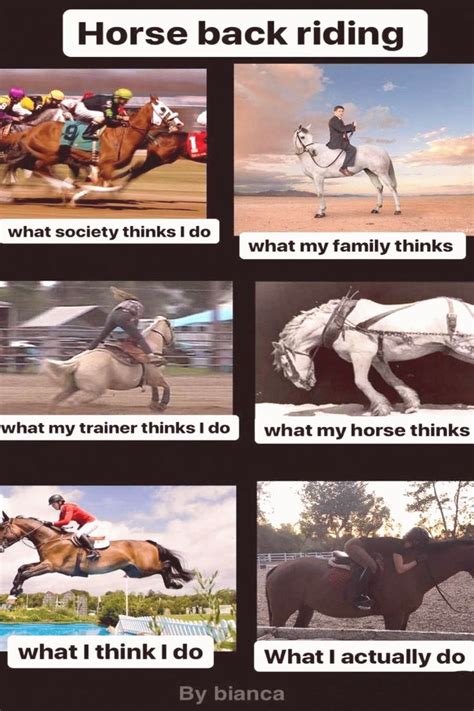 Equestrian Problems Horses Funny Funny Horse Meme Equestrian Problems