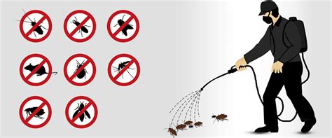 Photos, address, and phone number, opening hours, photos, and user reviews on yandex.maps. General Pest Management Service