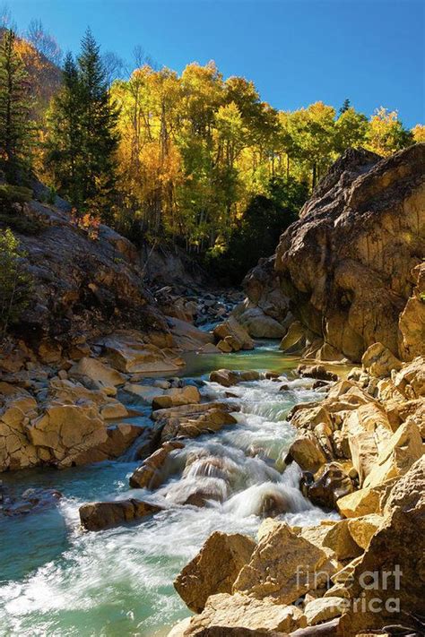 Aspen Mountain Stream Art Print By Norma Brandsberg Fine Art