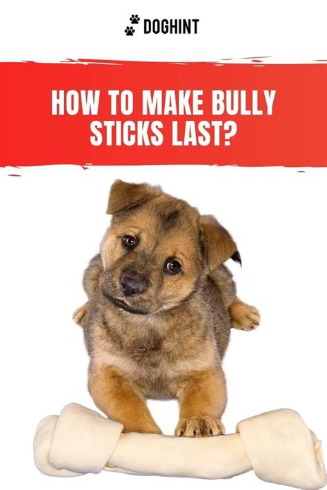 Bully sticks are very good at maintaining good dental health for dogs, and can help prevent tooth decay by stopping the buildup of plaque on the teeth. Best Bully Sticks for Dogs: Here's What You Have to Know ...