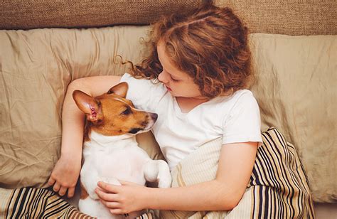 Why Dogs Are Called Humans Best Friends Petsynse
