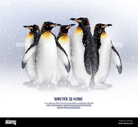 King Penguins Colony In Snowy Environment Composition Realistic
