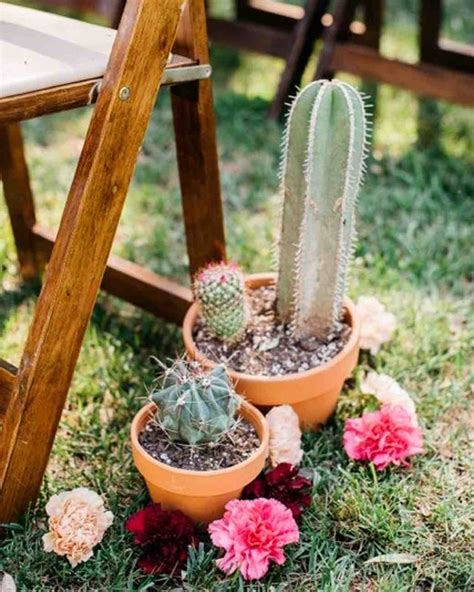 Trending Now Cactus Wedding Ideas Martha Stewart Weddings