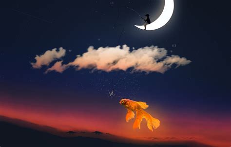 Wallpaper The Sky Clouds Sunset The Moon Fishing Fish Stars A