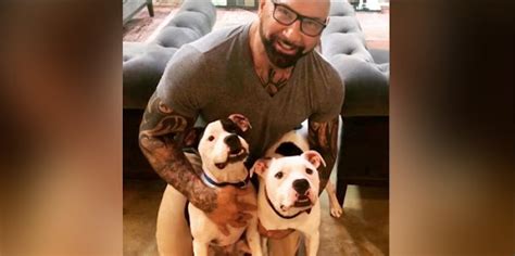 White Wolf Dave Bautista Adopts Bonded Pit Bulls In Fairy Tale Ending
