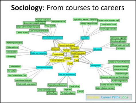 Careers In Sociology Introduction To Sociology