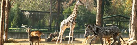 Zoo santo inácio, vila nova de gaia resim: Traveling in Porto with children: Santo Inácio Zoo