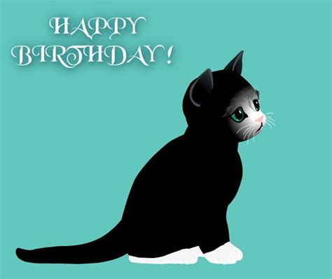 Birthday Wishes With Cats Page 2