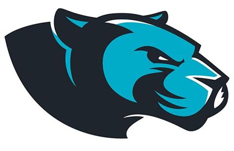 Carolina Panthers By Meredith Morten Via Behance Sports Logo Design