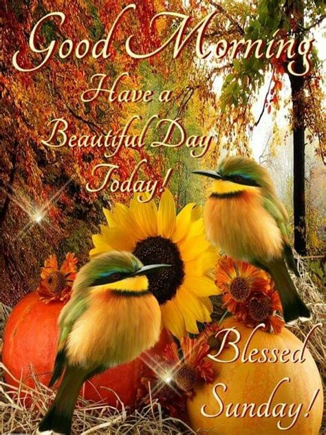 Pin By Marsha Humphreys Badgett On Happy Day Greetings Blessed Sunday