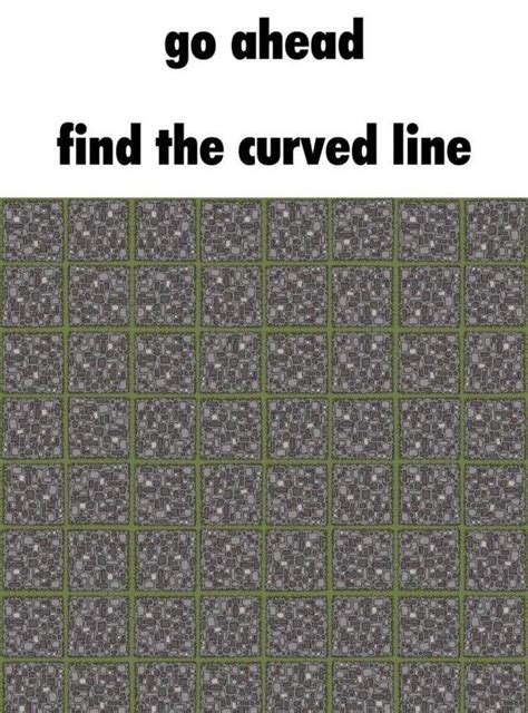 Go Ahead Find The Curved Line Optical Illusion Meme Find The Curved