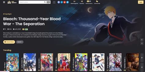 Aniwatchto Everything Need To Know Techlatest