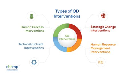 Organisational Development Ultimate Guide 5 Tips Included