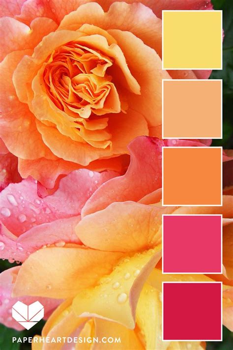 Color Palette Pretty In Pink — Paper Heart Design In 2021 Color