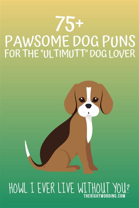 75 Pawsome Dog Puns For The Ultimutt Dog Lover