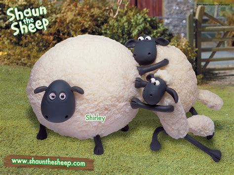 Brad Murray Mucking About With Shaun The Sheep
