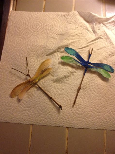 Dragonflies Made From Maple Seeds Helicopters Pressed Flowers Diy