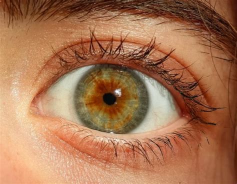 What Is The Rarest Eye Color Blog Eyebuydirect