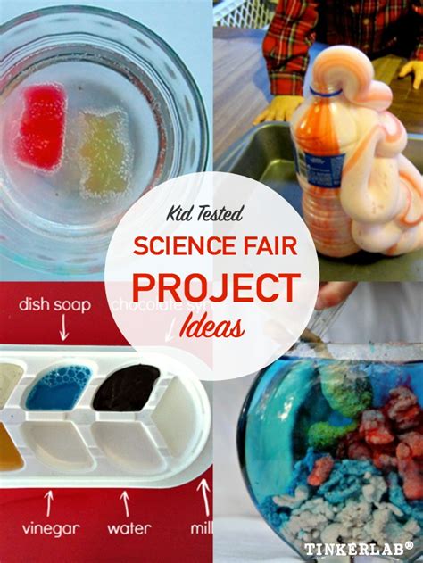 Science Fair Project Ideas For 5th Grade 1st Place Asiandesignleaders