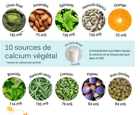 Les sources de calcium végétal Marjorie Crémadès Diététicienne micro nutritionniste