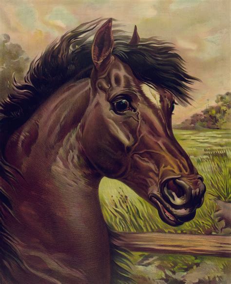 Vintage Horse Painting Free Stock Photo Public Domain Pictures