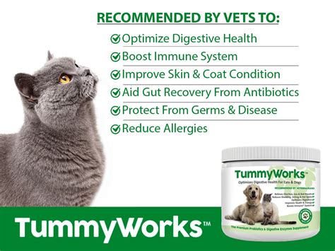 Probiotics For Dogs Cats Best Powder To Relieve Diarrhea Yeast