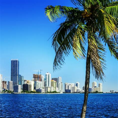 Miami Downtown Skyline Stock Photo By ©ventdusud 40274189