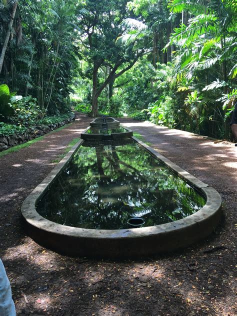 Reflection Pond At Allerton Botanical Gardens Kauai Hawaii Allerton