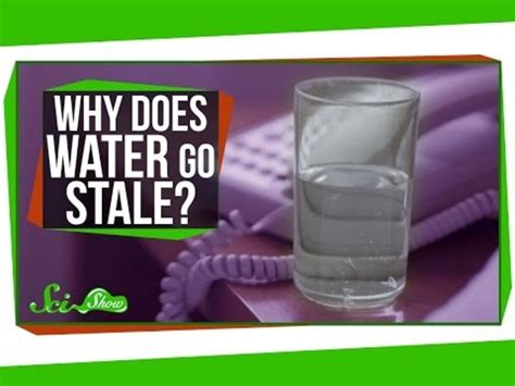 Why Does Water Go Stale Overnight Video For 9th 12th Grade Lesson