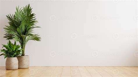 White Wall Empty Room With Plants On A Floor 4337533 Stock Photo At
