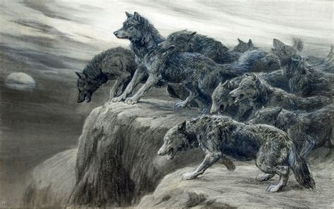 Wolves are a popular and fun subject to draw for both seasoned artists and amateurs alike. Images Of Pack Of Wolves Howling Drawing