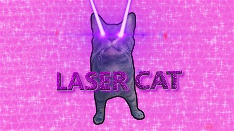 Laser Cat Youtube