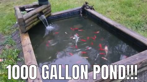 1000 Gallon Raised Pond How It Works Youtube