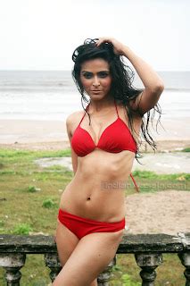 Indian Model Madhurima Tuli In Bikini Hot Bikini Models