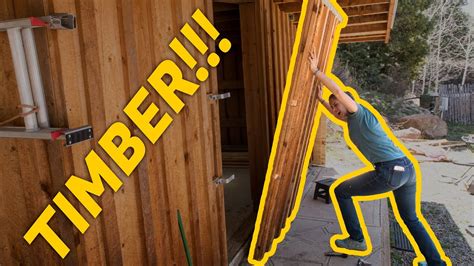 Some simple steps can ensure that you never have a rat problem under your shed. We tore down a wall (and found a rat) | Shed-pocalypse Ep ...