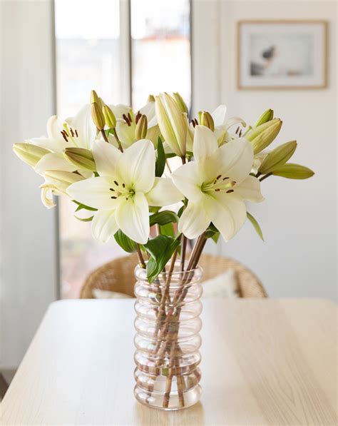 Acquista o regala fiori freschi e bouquet di fiori con le flowerbox di blooming. Buon Compleanno Fiori Eleganti - Fiori Compleanno ...