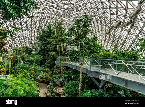 China Shanghai Botanical Garden Greenhouse Humid Subtropical Climate