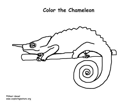 Maybe you would like to learn more about one of these? Chameleon Coloring Page