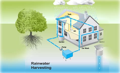 Rainwater harvesting system, technology that collects and stores rainwater for human use. Services - Rain Water Harvesting System Installation ...