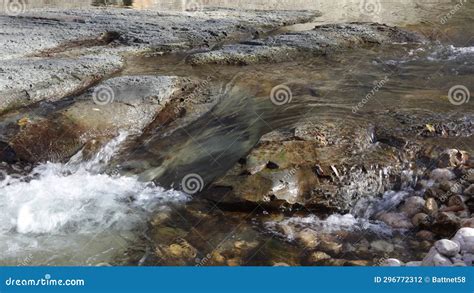 A Shallow Riverbed With A Rocky Bottom And Shoals Fragments Of Stones