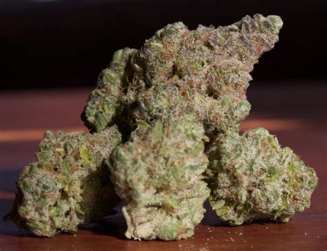 Chiquita Banana By Utopia Farms The Worlds Strongest Cannabis Strain